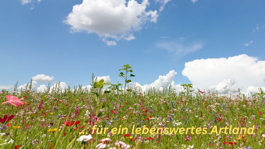 Landschaft (by canva) Landschaft (by canva)